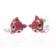 Boucles Little fox