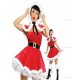 Santa Claus Lady Costume