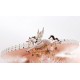 Broche Pegasus Fantasy