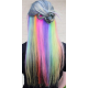 Extensions Rainbow Ponytail